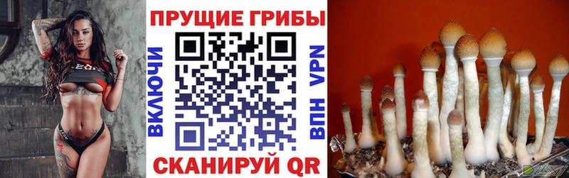 ОМГ ОМГ ССЫЛКА  Тарко-Сале  Галлюциногенные грибы прущие грибы 